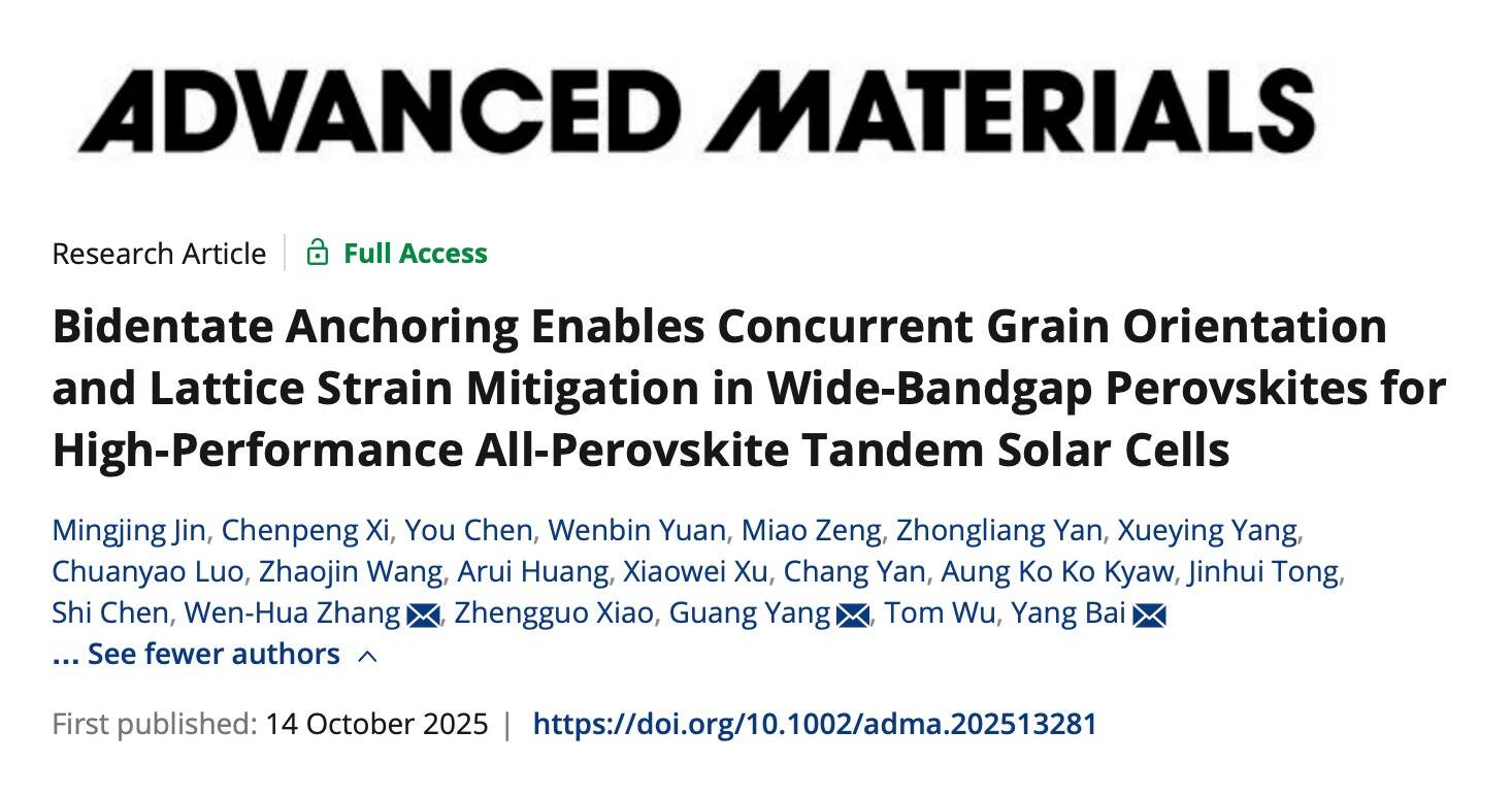 Advanced Materials｜英国威廉集团官网白杨团队联合发表钙钛矿叠层光伏研究新成果