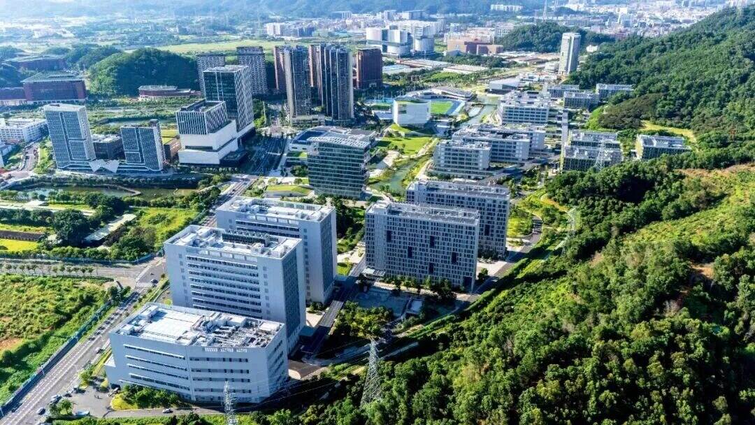 这所新大学，一周只上四天课